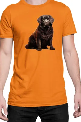 Immagine prodotto di Maglietta da uomo Dogs Breeds Newfoundland Dog Breed 005, Man M , Orange