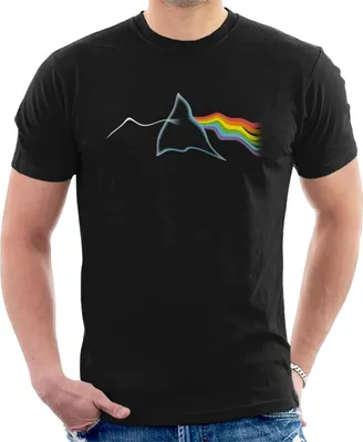 Produktbild von Pink Floyd - T-Shirt für Herren/Damen Uni HE1845 (M) (Schwarz)