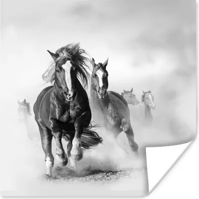 Produktbild von MuchoWow® Poster Pferde - Tiere - Illustration 30x30 cm - Wandposter - Printing