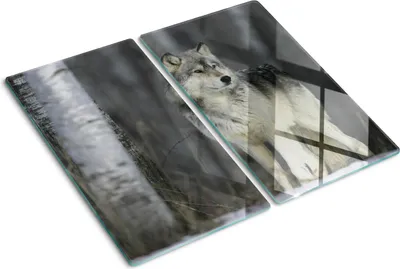 Imagen del producto de Cubierta para placa de cocina – Cubierta para placa de inducción – Placa de vidrio protectora – 2x30x52 cm – Placas de vidrio protectoras para cocina – Vidrio templado – Lobo gris
