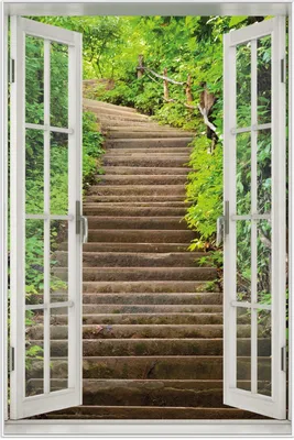 Produktbild von Wallario Wandbild mit Fenster-Illusion: Steintreppe im Wald, Größe: 61 x 91,5 cm, Poster mit weißem Aluminiumrahmen
