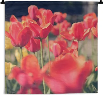 Produktbild von MuchoWow® Wandteppich Wandbehang Tulpen - Blumen - Natur 90x90 cm Tapisserie Dekoration Wandtuch - Wandaufhänger