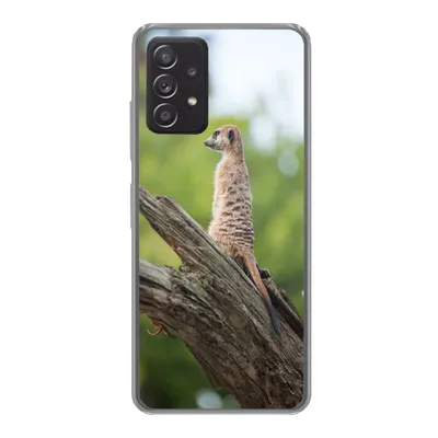Produktbild von MuchoWow® Handyhülle Schutzhülle Hülle für Samsung galaxy a73 Erdmännchen - Ast - Baum Silikon Softcase Handy Hülle - Handyhülle