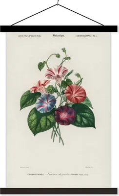 Produktbild von MuchoWow® Textilposter Blumen - Vintage - Blatt 60x90 cm mit schwarzem Rahmen - Poster Wohnzimmer