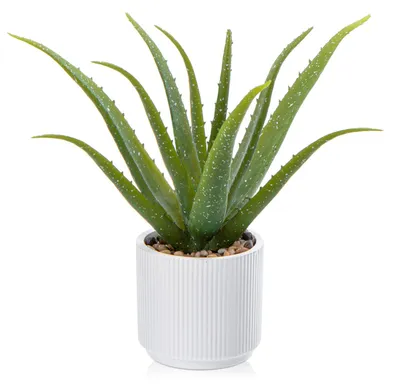 Productafbeelding van Kunstplant in pot, kunstplant van aloë vera in een keramische pot, kunstplanten, decoratie van kunststof voor woonkamer, balkon, slaapkamer, badkamer, kamer, tafeldecoratie