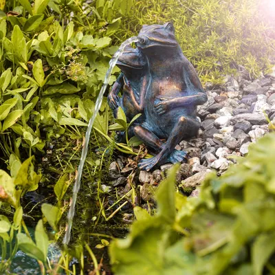 Produktbild von esotec Wasserspeier Froschpaar + Solar Teichpumpe Teichfigur Wasserspiel 101657