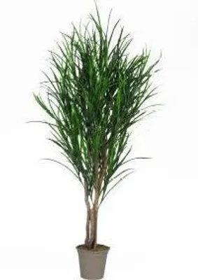 Produktbild von artplants.de Kunst Chinaschilf Malinda, Naturstämme, grün, crossdoor, 200cm -  Italy - Deko Kunstbaum