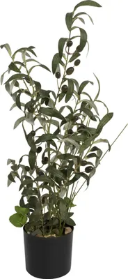 Obrázok produktu pre Europalms Olivenbäumchen Kunstpflanze 68 cm 82506421