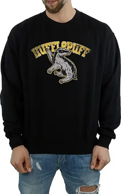 Produktbild von Harry Potter - Sweatshirt für Herren BI1264 (M) (Schwarz)