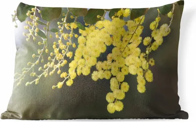 Produktbild von MuchoWow® Outdoor Kissen - Mimosenpflanze mit gelben Blättern - 50x30 cm - Wetterfest - Lounge Kissen - Sofa kissen - Wohnzimmer Dekoration
