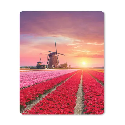 Produktbild von MuchoWow® Mauspad Mousepad Blumen - Windmühle - Tulpen - Sonnenuntergang - Rosa 30x40 cm - Mousepads - Maus Mat - Pad - Mausunterlage - Mausmatten