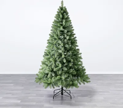 Produktbild von Evergreen Weihnachtsbaum Oxford Kiefer 180 cm, 180 cm