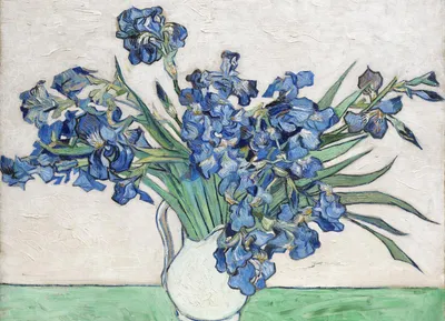 Immagine prodotto di Poster 18x13cm Irises 2, Van Gogh Vintage per il salotto