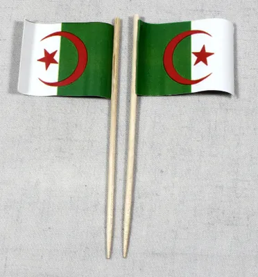 Produktbild von Party-Picker Flagge Algerien Papierfähnchen in Spitzenqualität 25 Stück Beutel