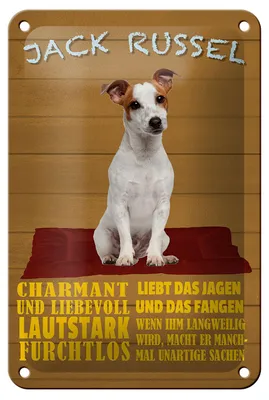 Produktbild von Blechschild Spruch 12x18cm Jack Russel Hund charmant