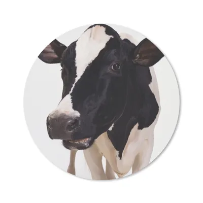 Produktbild von MuchoWow® Mauspad Mousepad Kuh - Weiß - Tiere - Schwarz 30x30 cm - Mousepads - Maus Mat - Pad - Mausunterlage - Tischunterlage - Schreibtischmatten