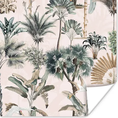 Produktbild von MuchoWow® Poster Blätter - Monstera - Dschungel - Tropisch 75x75 cm - Wand Dekoration