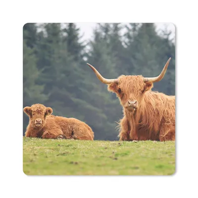 Produktbild von MuchoWow® Mauspad Mousepad Schottische Highlander - Gras - Wald 20x20 cm - Mousepads - Maus Mat - Pad - Mausunterlage - Desk Mat - Bureauartikeln