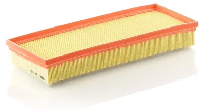 Immagine prodotto di Filtro aria MANN-FILTER C 38 001
