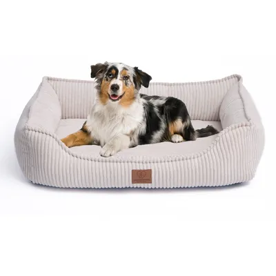 A dog is lying on a dog bed.