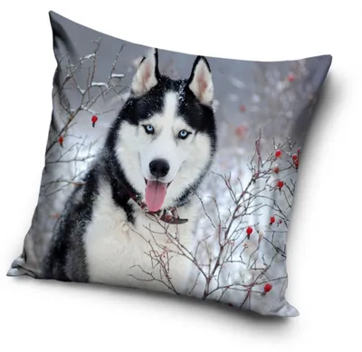 Obrázek produktu pro Povlak na polštář pro psy 40 × 40 cm