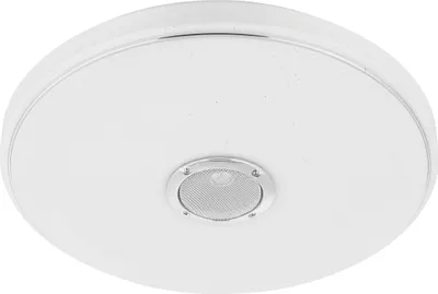 A white, circular ceiling light with a silver trim and a central speaker grille.