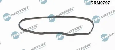 Produktbild von DR.MOTOR AUTOMOTIVE Steuergehäusedichtung DRM0797 für FIAT Ducato Kastenwagen (250, 290)