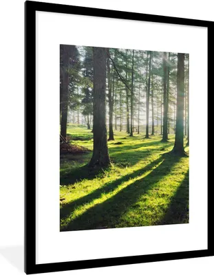 Produktbild von MuchoWow® Gerahmtes Poster Bäume - Natur - Wald 60x80 cm - Poster mit Schwarzem Bilderrahmen Wandposter Rahmen Foto Bilder - Wohnzimmer - Dekorationen - Prämie