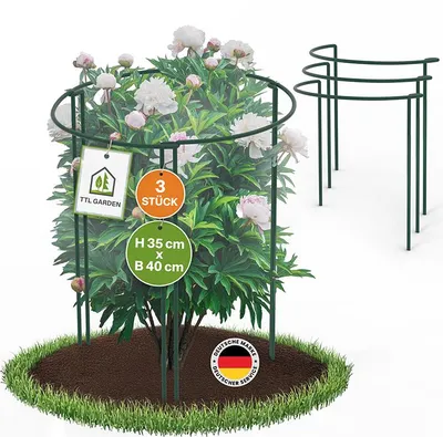 Produktbild von TTL GARDEN Strauchstützen 3er Set 35x40cm Pflanzenstütze Stahl grün rostfrei