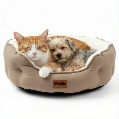 Produktbild von Pebble Katzenbett 64 x 53 cm – flauschiges Katzenkörbchen, waschbar, weiches Plüsch, Beige (M)