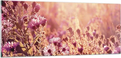 Produktbild von Bilder auf glas - Einteilig - Wiese Blumen Sonne - 100x40cm - Glasbilder - Wandbilder - Bilder - zum Aufhängen bereit - Wanddekoration aus Glas - Glas Bilder - Wandbild auf Glas - GAB100x40-4819