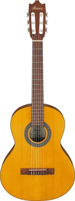 Produktbild von Ibanez Ga2-Oam