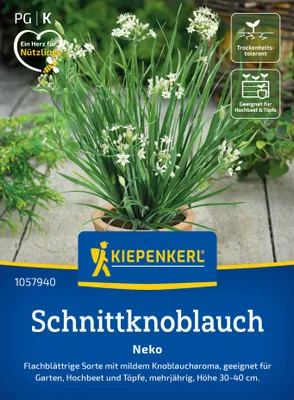 Artikelbild 2 von 'Schnittknoblauch Neko' aus der Kategorie Schnittlauchsamen
