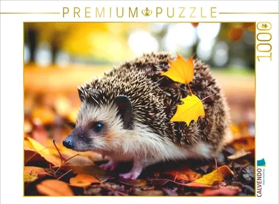 Produktbild von CALVENDO Puzzle Igel im Herbst | 1000 Teile Lege-Größe 64x48cm Foto-Puzzle für glückliche Stunden