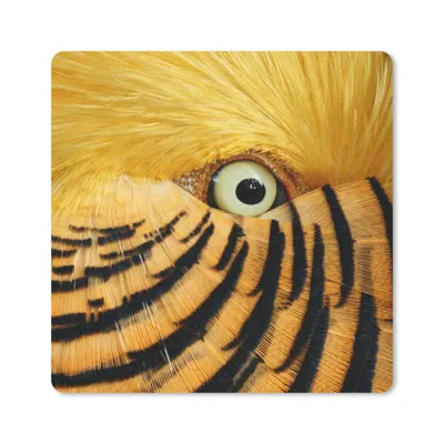 Produktbild von MuchoWow® Mauspad Mousepad Nahaufnahme des Auges eines Vogels mit gelben Federn und schwarzen Streifen 20x20 cm - Mousepads - Maus Mat - Pad - Mausunterlage - Desk Mat - Bureauartikeln