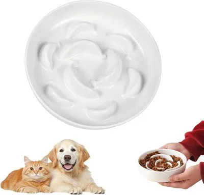 Produktbild von Famanu Anti-Schocknapf für Hunde - Kunststoffnapf für Gesundheit - Einfach zu reinigen - Anti-Schocknapf für Katzen und kleine Hunde (weiß)