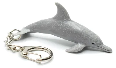 Produktbild von Zügeldelfin Fleckendelfin Schlüsselanhänger Miniblings Anhänger Delphin Delfin