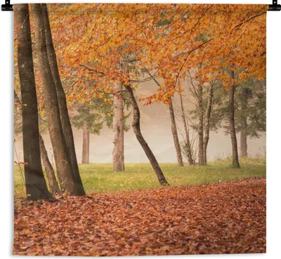 Produktbild von MuchoWow® Wandteppich Wandbehang Blätter - Herbst - Wald 60x60 cm Tapisserie Dekoration Wandtuch - Dekorationen - Wand Decke