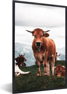 Produktbild von MuchoWow® Gerahmtes Poster Tiere - Kuh - Berg 60x90 cm - Poster mit Schwarzem Bilderrahmen Wandposter Rahmen Foto Bilder - Kunst
