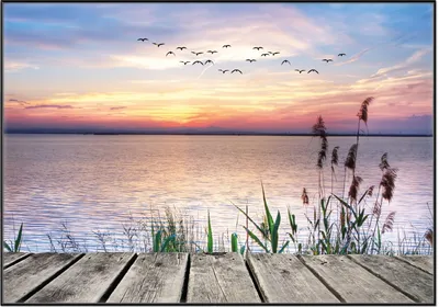 Produktbild von Wallario Wandbild Seepanorama mit Schilf und fliegenden Vögeln, Größe: 70,30 x 100,30 cm, Poster mit schwarzem Aluminiumrahmen