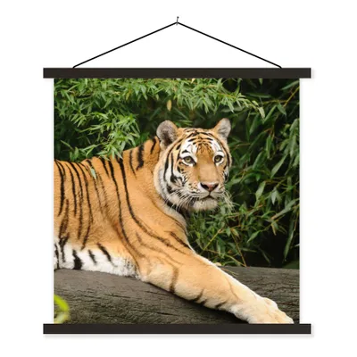 Produktbild von MuchoWow® Textilposter Tiger - Baum - Blätter 90x90 cm mit schwarzem Rahmen - Magnetisches
