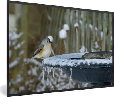 Produktbild von MuchoWow® MuchoWow® Gerahmtes Poster Vogeltränke - Winter - Meise 30x20 cm - Poster mit zchwarzem Bilderrahmen - Kunstdruck - Bild-Poster