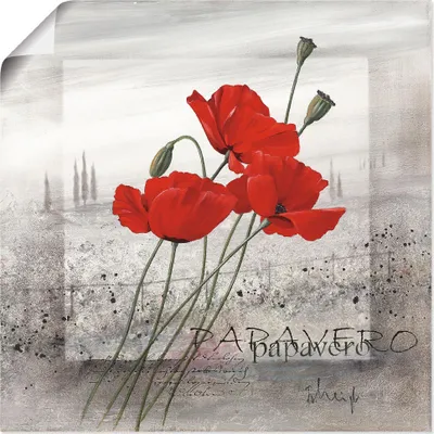 Produktbild von ARTland Poster Mohnblumen an einem nebligen Morgen Größe: 40x40 cm