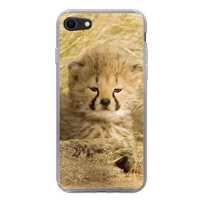 Produktbild von MuchoWow® Handyhülle Schutzhülle Hülle für iPhone 7 Gepard - Jung - Gras Silikon Softcase Handy Hülle - Kartenhalter