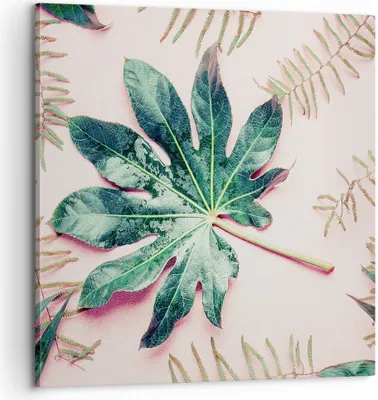 Produktbild von Bild auf Leinwand - Leinwandbild - Einteilig - Blatt Tropisch Palme - 60x60cm - Wand Bild - Wanddeko - Wandbilder - Leinwanddruck - Bilder - Wanddekoration - Leinwand bilder - Wandbild - AC60x60-4314