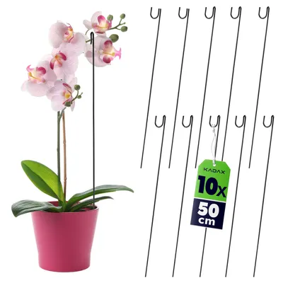 Zdjęcie produktu dla KADAX Podpórka Do Storczyków Podpora Roślin 10szt 50cm