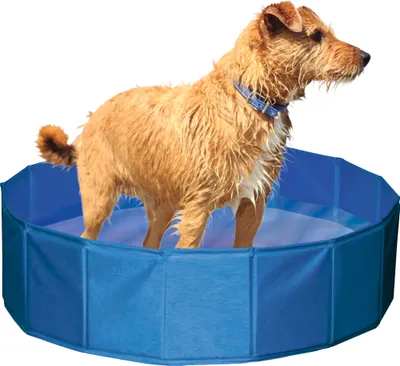Produktbild von Kerbl Hundepool - 120 cm
