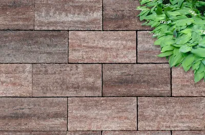 Produktbild von Beton Terrassenplatte iStone Mediteran muschelbeige 48 cm x 24 cm x 3 cm