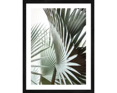 Produktbild von Gerahmtes Bild Jungle Leaves III 33x43 cm