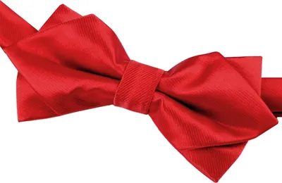Produktbild von Edle Fliege bzw. Schleife mit Haken - bereits gebunden und verstellbar verschiedenfarbig Rot Unisize Diademita